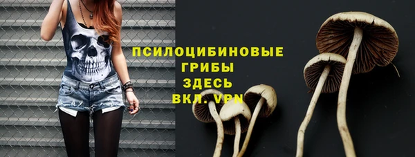 Альфа ПВП Богданович