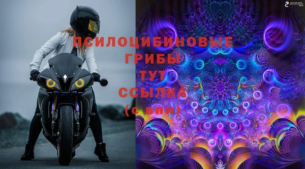 спиды Белоозёрский