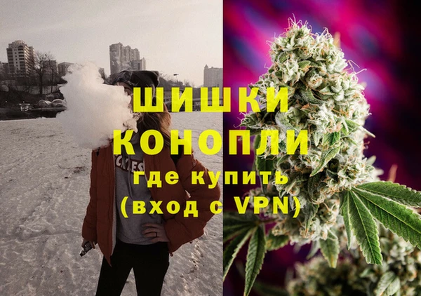 скорость Богородск