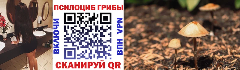 Псилоцибиновые грибы мухоморы  Городец 