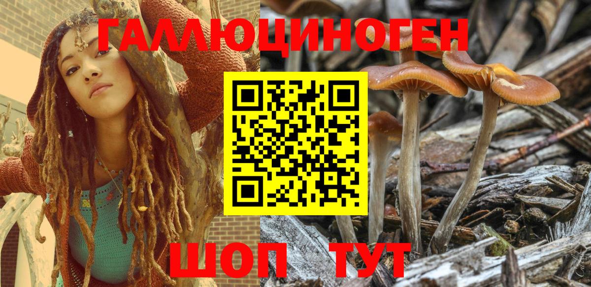 Галлюциногенные грибы Magic Shrooms Городец