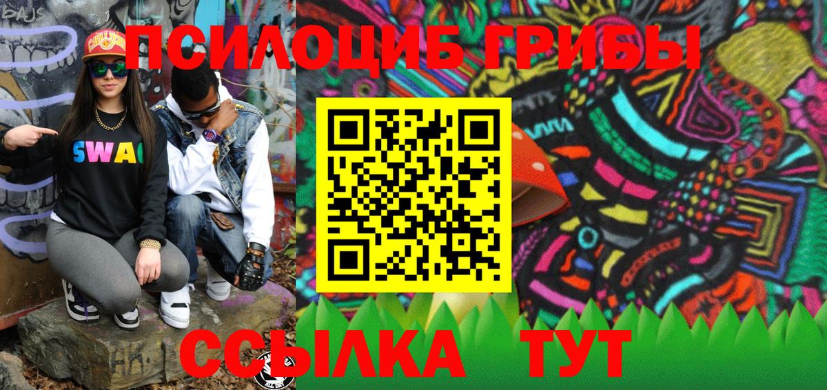 Галлюциногенные грибы прущие грибы  Городец 