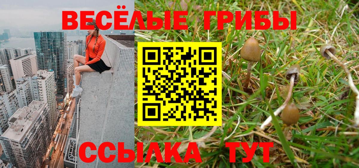Городец  Галлюциногенные грибы MAGIC MUSHROOMS  Вход с VPN 